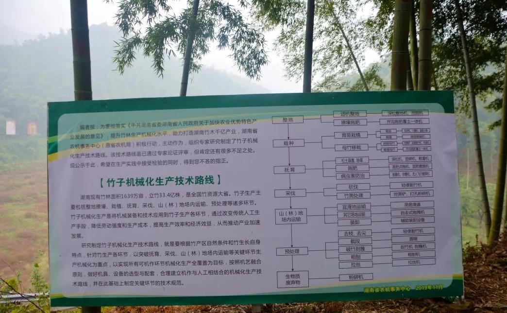 竹林機械化生產技術路線 (2).jpg