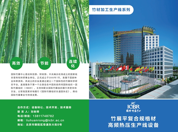 竹展平復合規格材高頻熱壓生產線-1.jpg